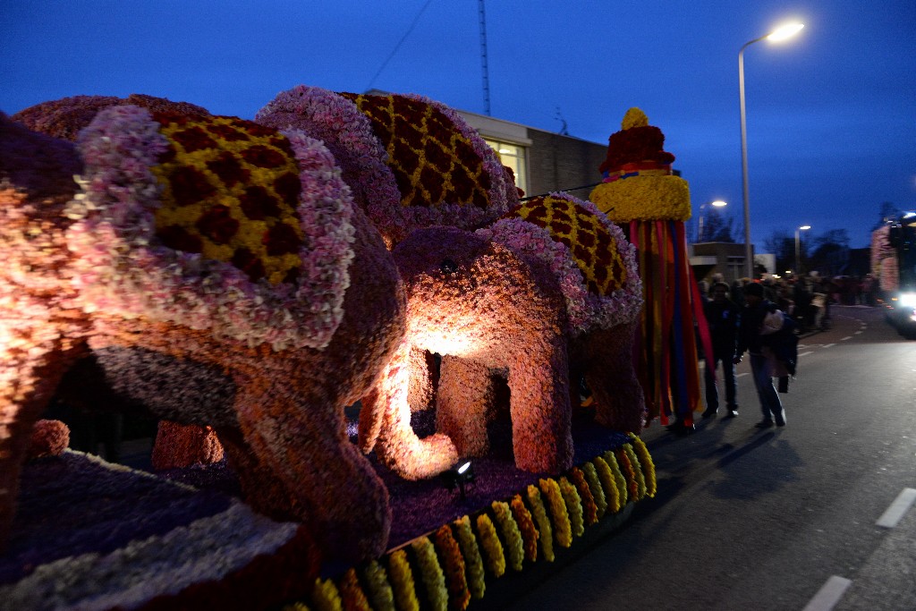 ../Images/Bloemencorso Noordwijkerhout 141.jpg